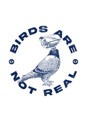 Birds Are Not Real