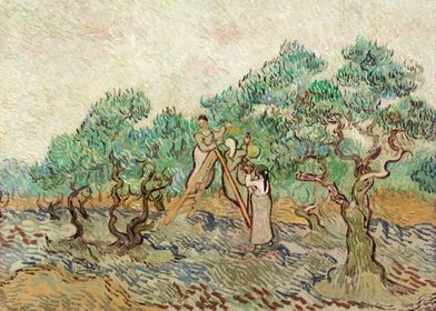 The Olive Orchard 1889