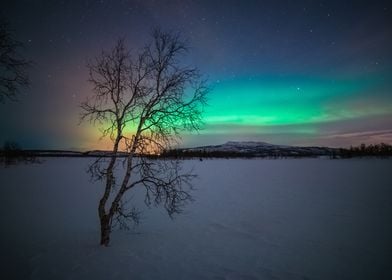 rainbow aurora