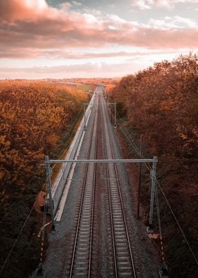 rails and trees