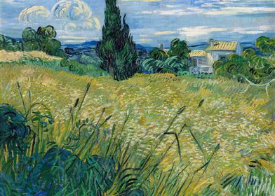 Green Wheat Field van Gogh