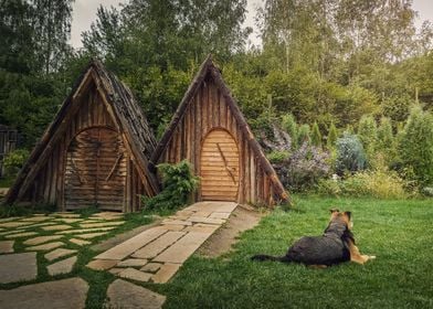 Loyal dog guards the house