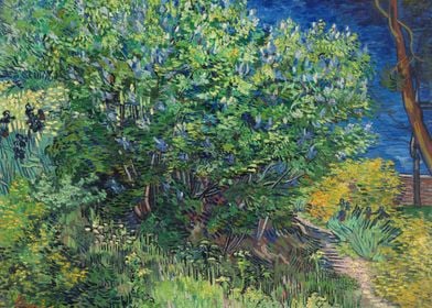 Lilac Bush 1889