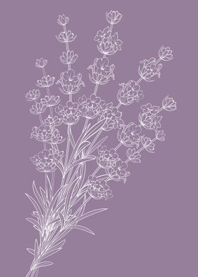 Lavender Flower' Poster by dkDesign | Displate