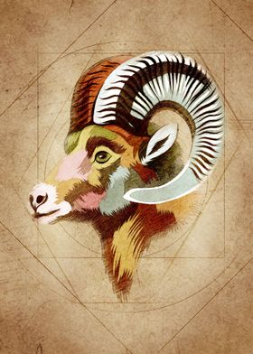 Bighorn Sheep Head Vintage