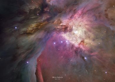 Orion Nebula