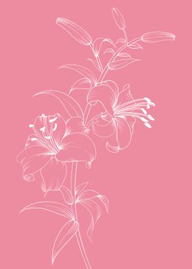 Flowers Botanical Nature-preview-1