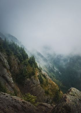 Idyllic foggy mountains