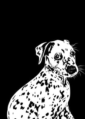 Dalmatian dog in vector