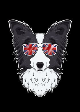 Border Collie UK