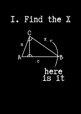 Find the x in math