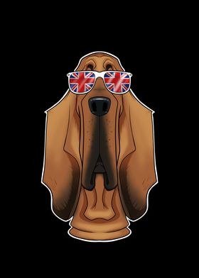 Bloodhound UK Sunglasses