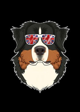 Bernese Mountain Dog UK