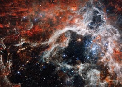 Tarantula Nebula by JWST