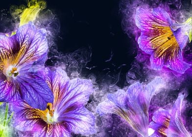 lily purple flower