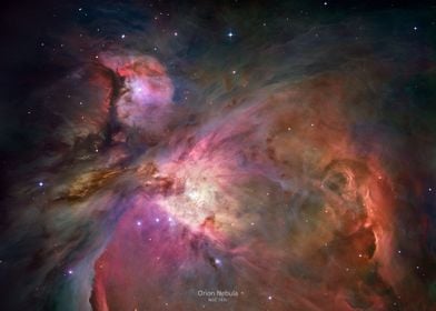 Orion Nebula