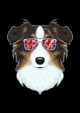 Australian Shepherd UK