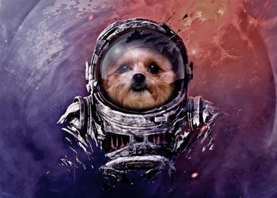 Astronaut Dog