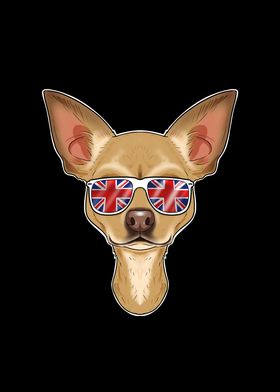 Chihuahua UK Sunglasses