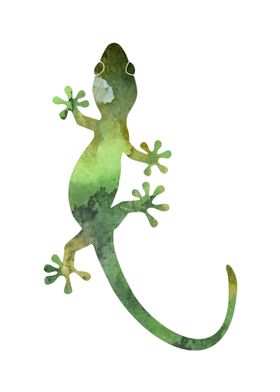 Gecko 