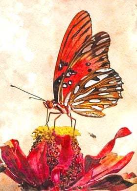 Watercolor Butterfly