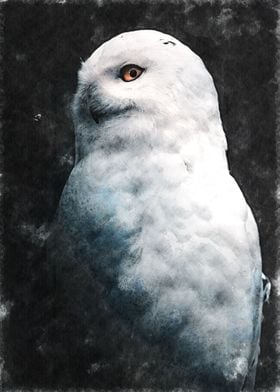 Watercolor Owl