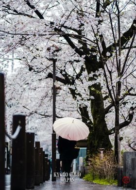 Kyoto Japan