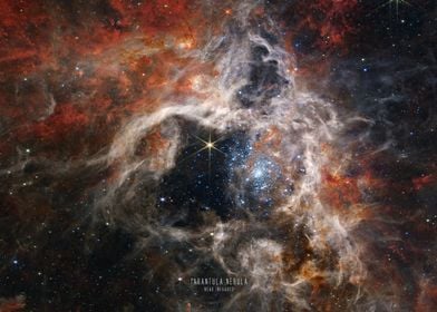 Tarantula Nebula NiR