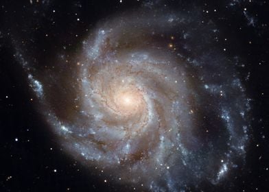 Pinwheel Galaxy