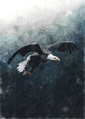 Watercolor Eagle