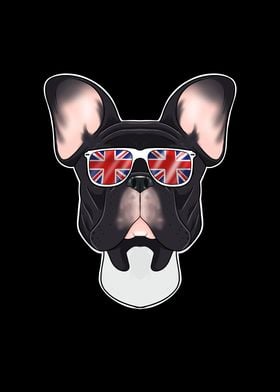 French Bulldog UK Frenchie