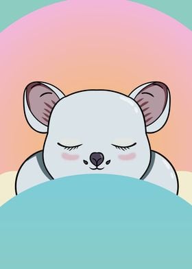 Beauty sleep Koala