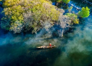 Beatiful mangroves scenery