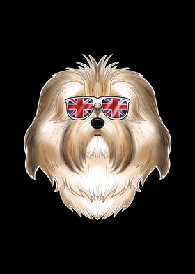 Havanese UK Sunglasses