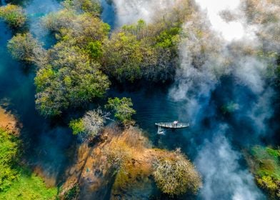 Amazing mangroves scenery