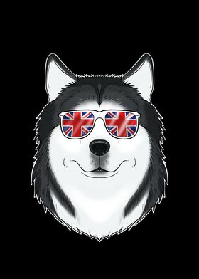 Husky UK Sunglasses