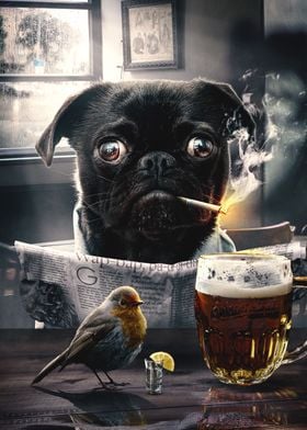 Pug in a Pub