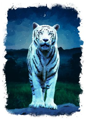 White tiger in the Night