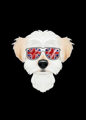 Maltese UK Sunglasses