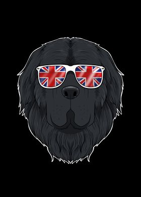 Newfoundland UK Sunglasses