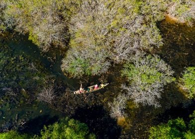 Amid the mangroves lagoon