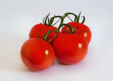 the tomato