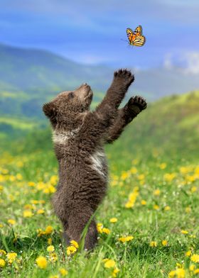 Bear cub with butterfly