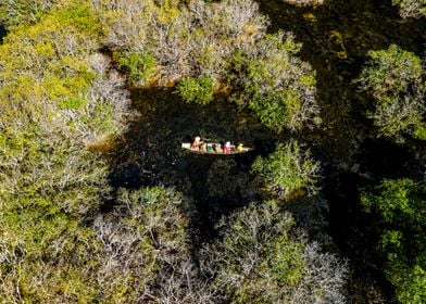 Sailing along mangoves