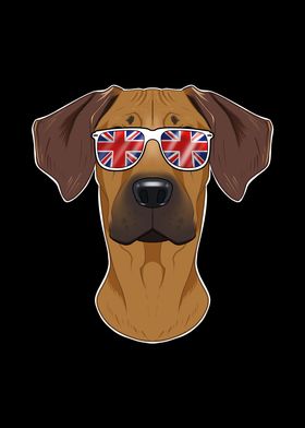 Rhodesian Ridgeback UK