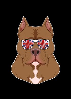 Pitbull UK Sunglasses