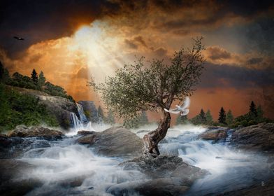 Olive tree in the river