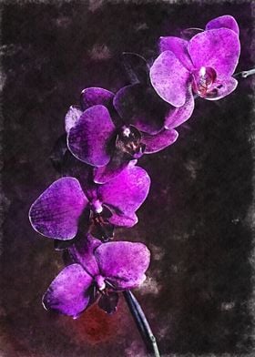 Watercolor Purple Flowers