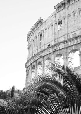 The Colosseum in Rome BW 1