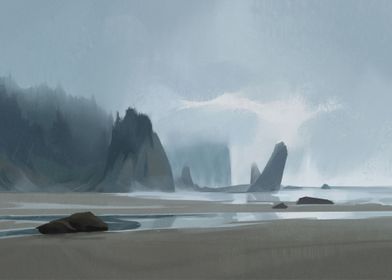 Misty shore